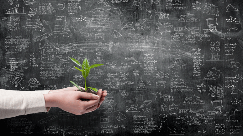 Plant being held in front of a blackboard 
